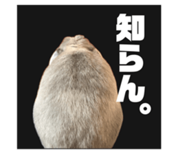 765912833