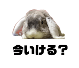 765912848