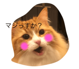 765913369