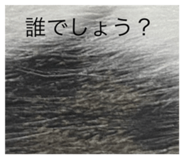 765913740