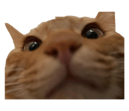 765914680