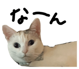 765915378