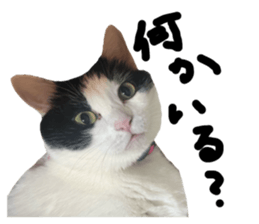 765915382