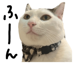 765915395