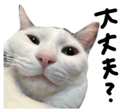 765915403
