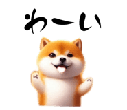 765919127