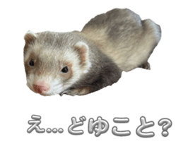 765921447
