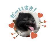 765921774