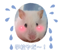 765925344