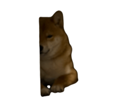 765925652