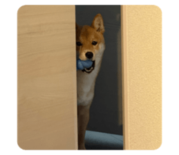 765925662