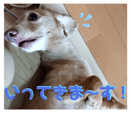 765928886