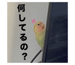 765931857