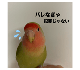 765931860