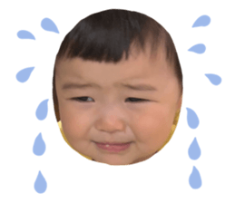 765932337