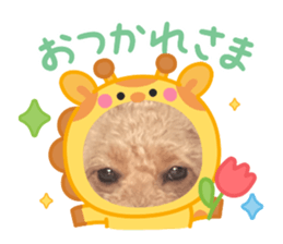 765933722