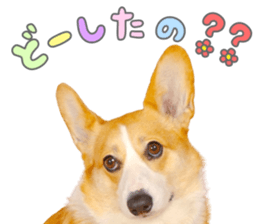 765940094