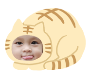 765948803