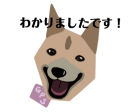 765950019