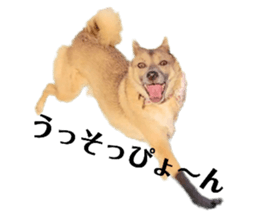 765950036
