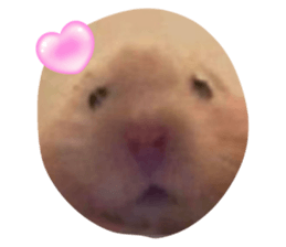 765950220