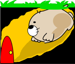 765953896