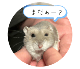 765955000