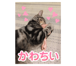 765982703