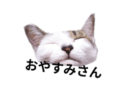 766027323