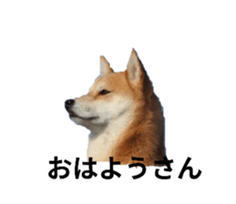 766027325