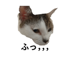 766027326