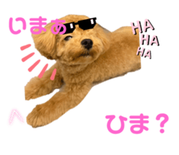 766031819