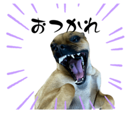 766032791