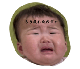 766033341