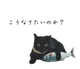 766035693