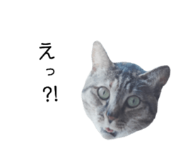 766035695