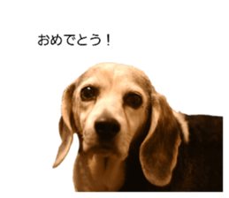 766035719