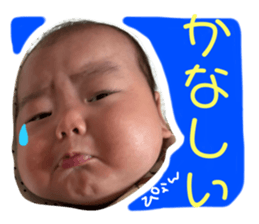 766067815
