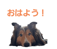 766069865