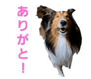 766069867