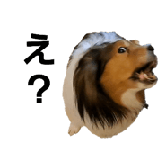 766069870