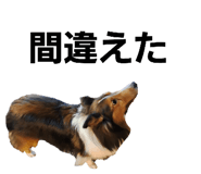 766069877