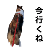 766069881