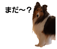 766069888