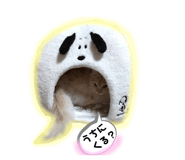766073079