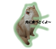 766073085