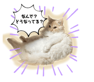 766073087