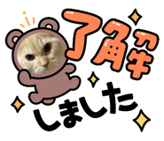 766073088