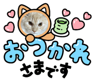 766073090
