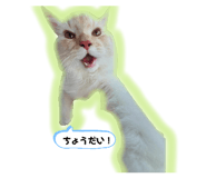 766073091